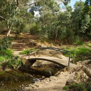 Darebin Parklands - HikeFit