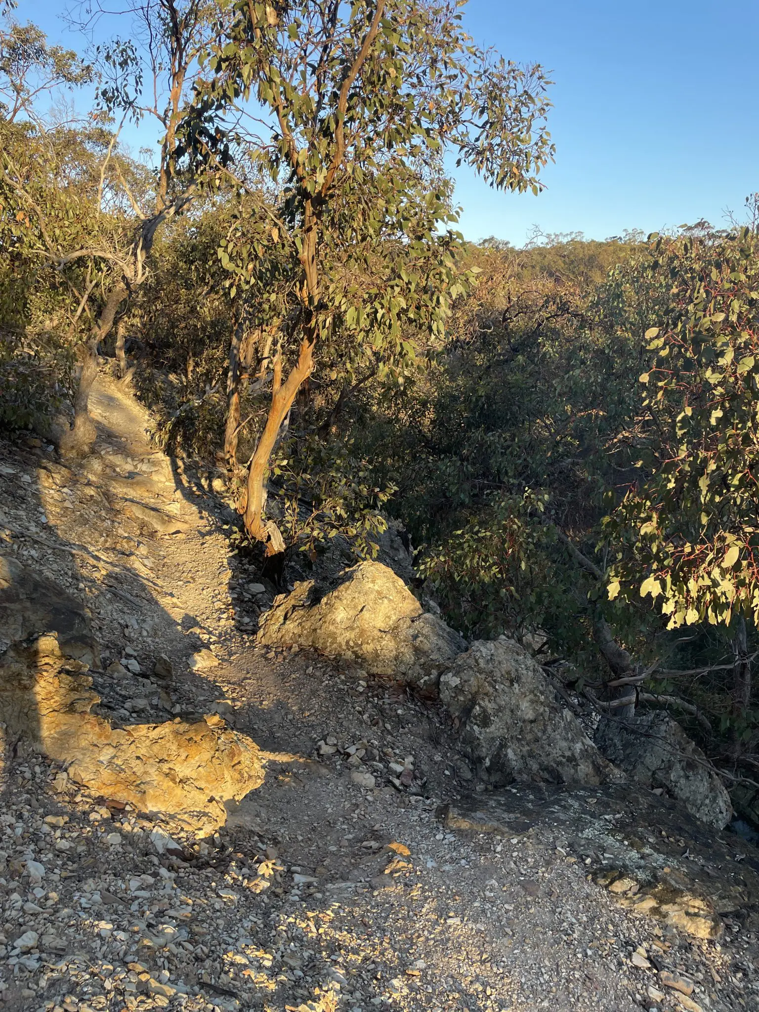 take shape adventures hiking adventures
