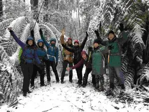 Tanglefoot Track featured image
