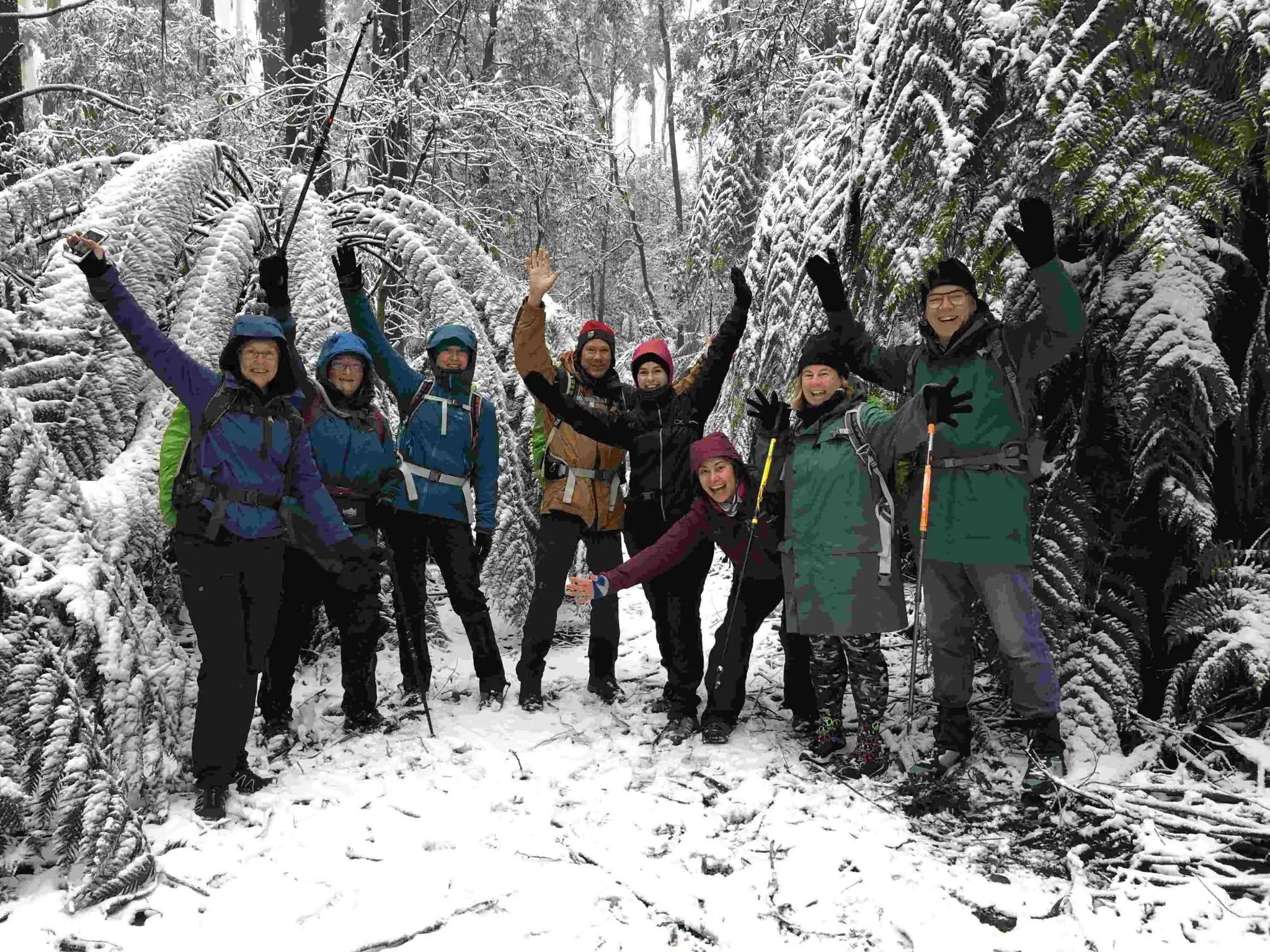 take shape adventures hiking adventures
