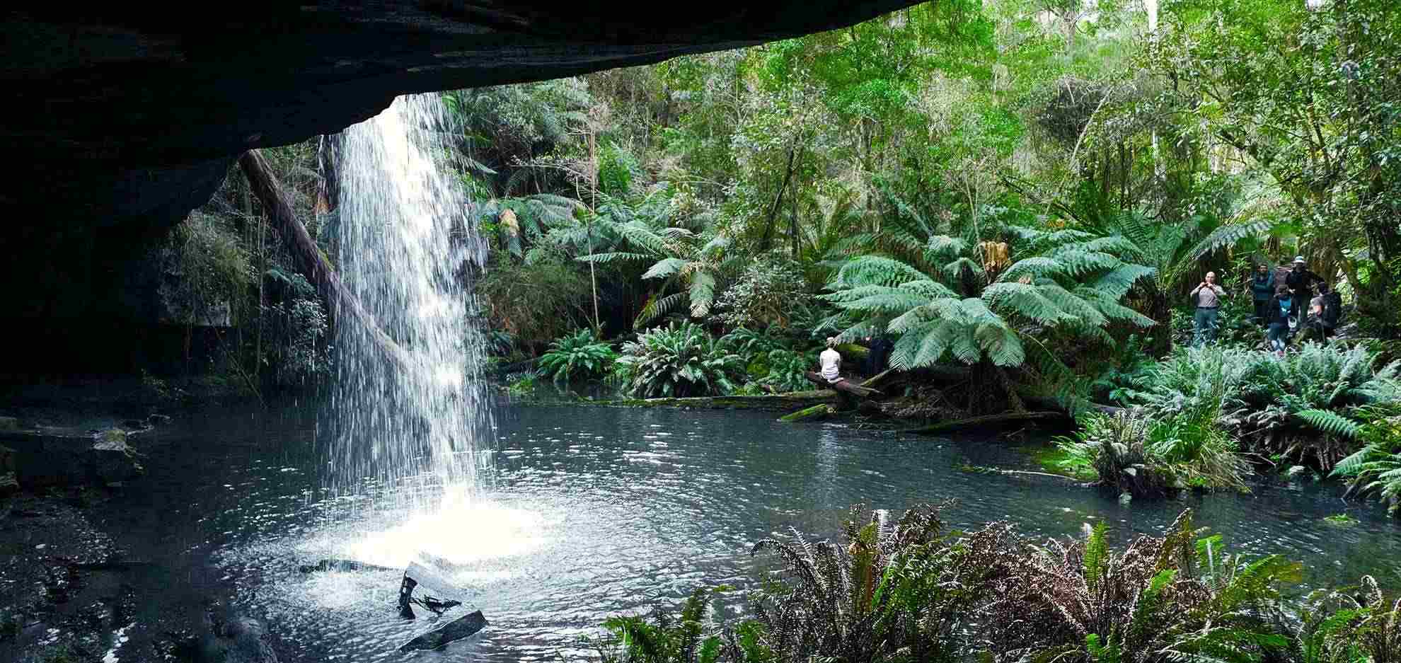 Otway Ferns Falls Take Shape Adventures