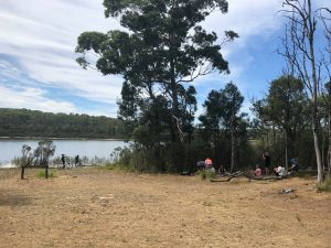 Lysterfield – Short Hike featured image