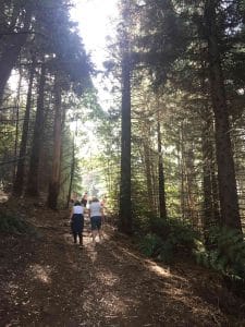 Olinda Arboretum – Short Hike    featured image