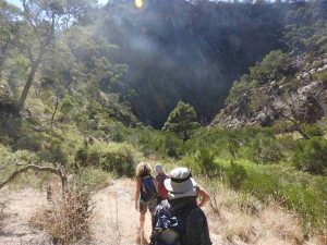Werribee Gorge – Short Hike    featured image