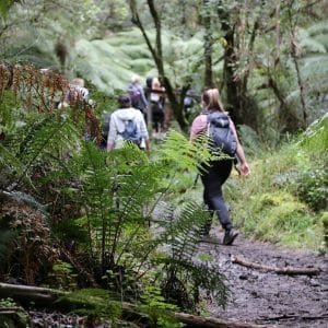 TakeShape Adventures - yogahiking_weekendescape_track+1