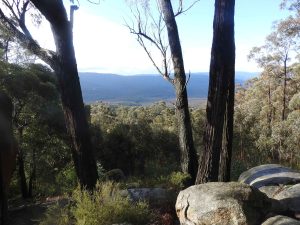 Four Brothers Walk – Gembrook featured image