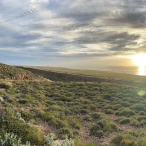 Ningaloo Reef & Cape to Cape
