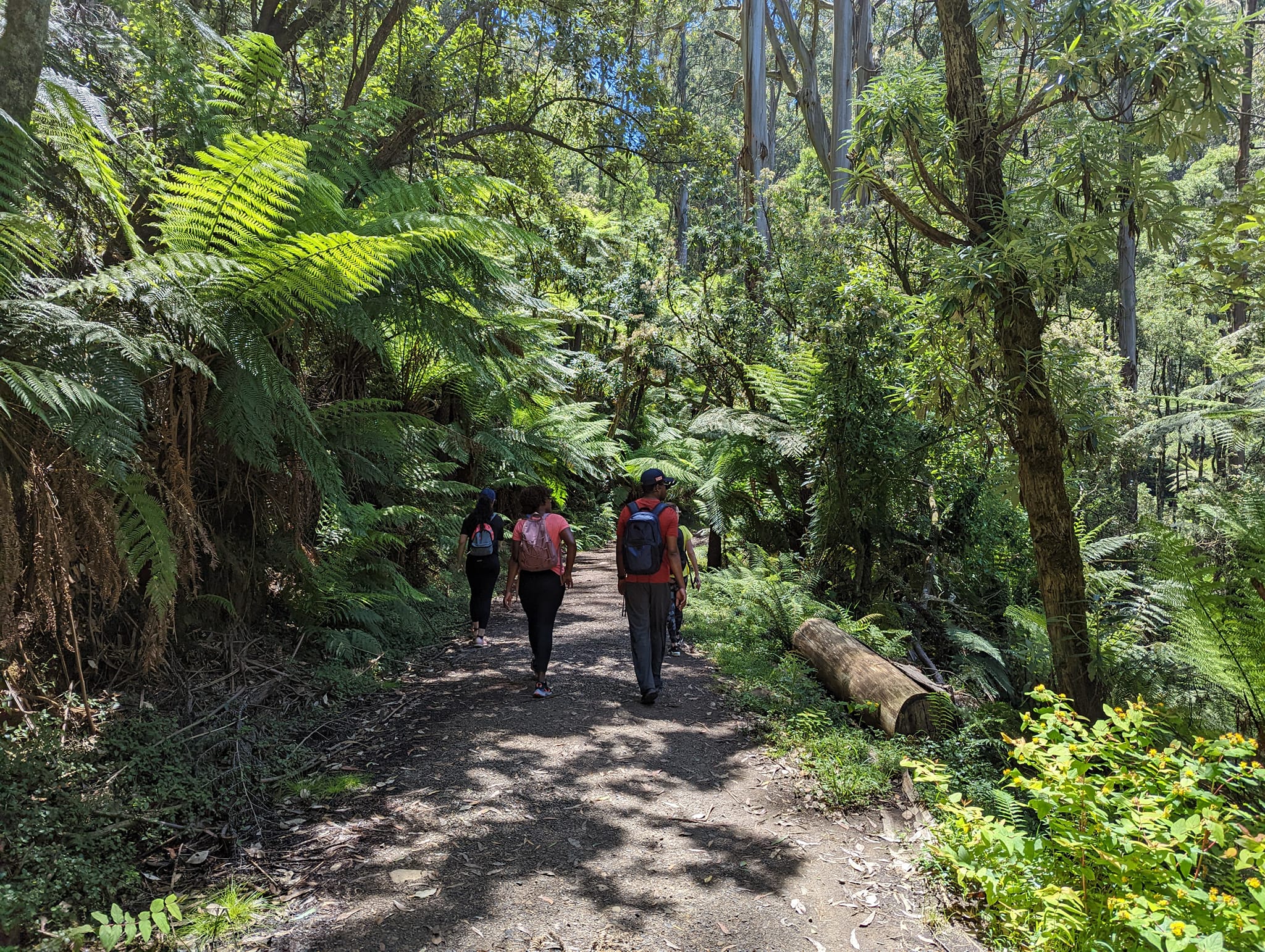 take shape adventures hiking adventures