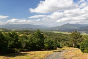 Warramate Hills – Short Walk    featured image