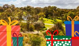 Darebin Parklands Christmas Hike & BBQ featured image