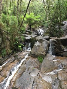 Griffith Falls & Dandenong’s    featured image