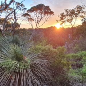 Experiences 20 TakeShape Adventures - south_austrlia_micro_eoi (2)