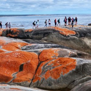 Bay of Fires