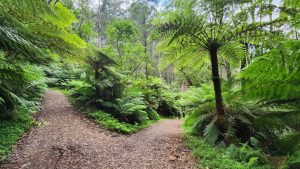 Alfred Nicholas Gardens Loop featured image