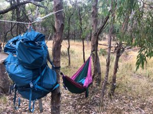 Hammock Hike – Burchell Trail featured image