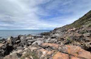 Fleurieu Peninsula featured image