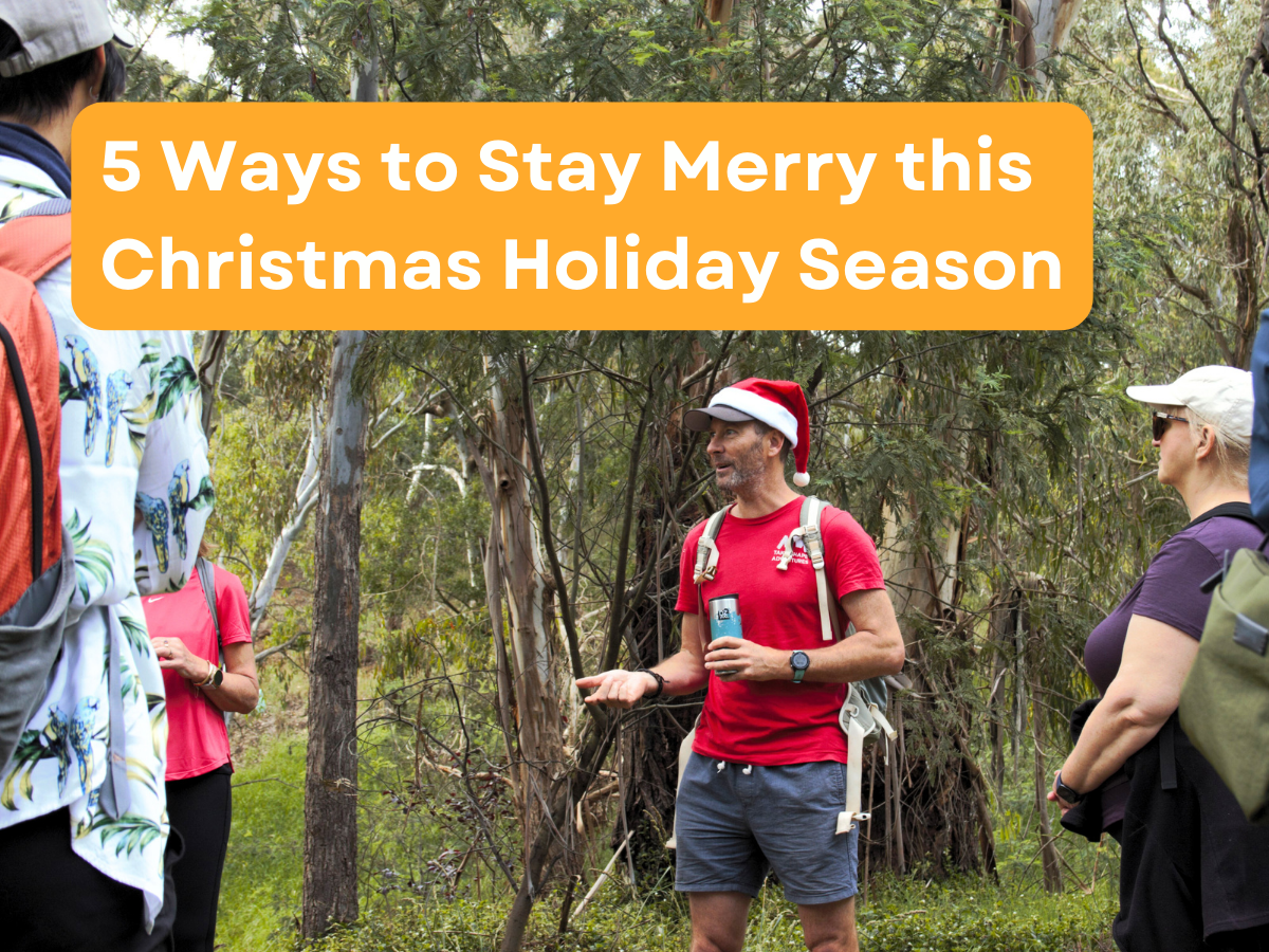 5 Ways to Stay Merry this Christmas Holiday Season 1 TakeShape Adventures - Blog covers