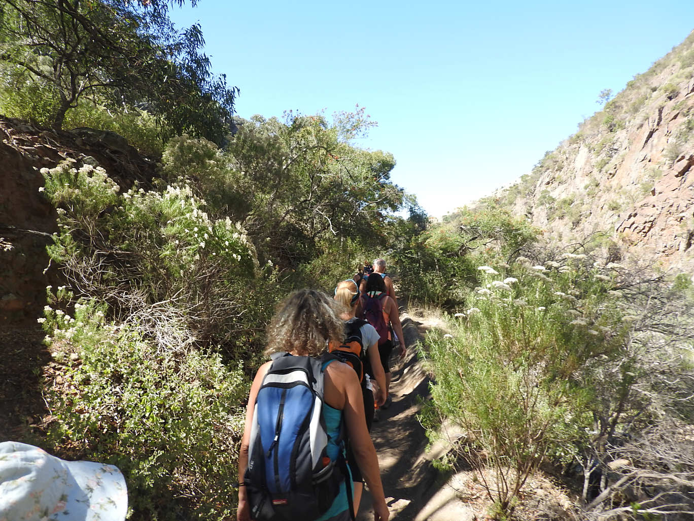 take shape adventures hiking adventures