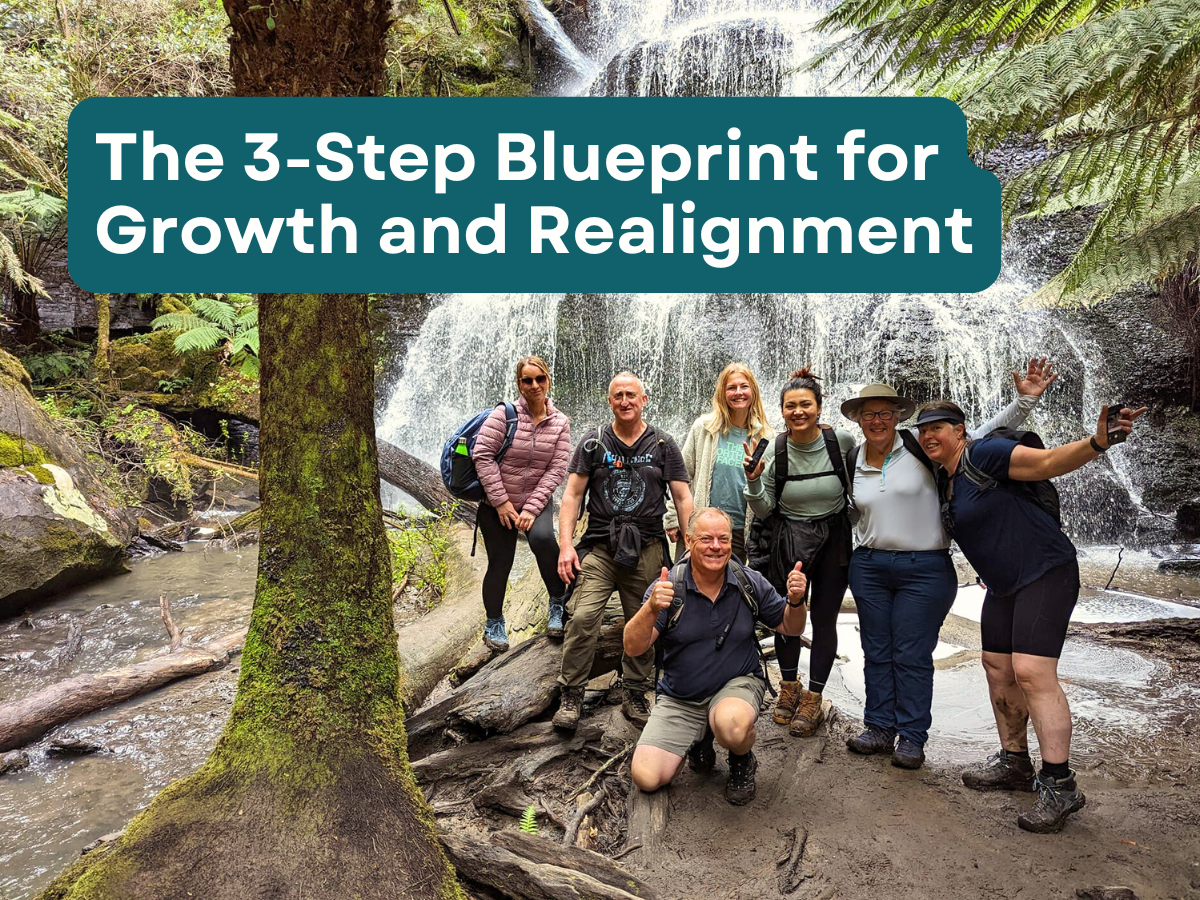 The 3-Step Blueprint for Growth and Realignment 1 TakeShape Adventures - blogcover_Mar2025_5