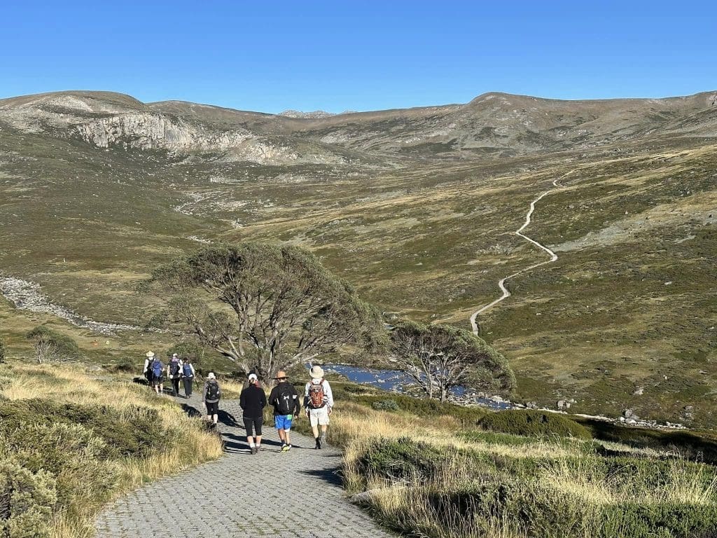 My Mount Kosciuszko Adventure was so Much More 2 kosi 07032025 2