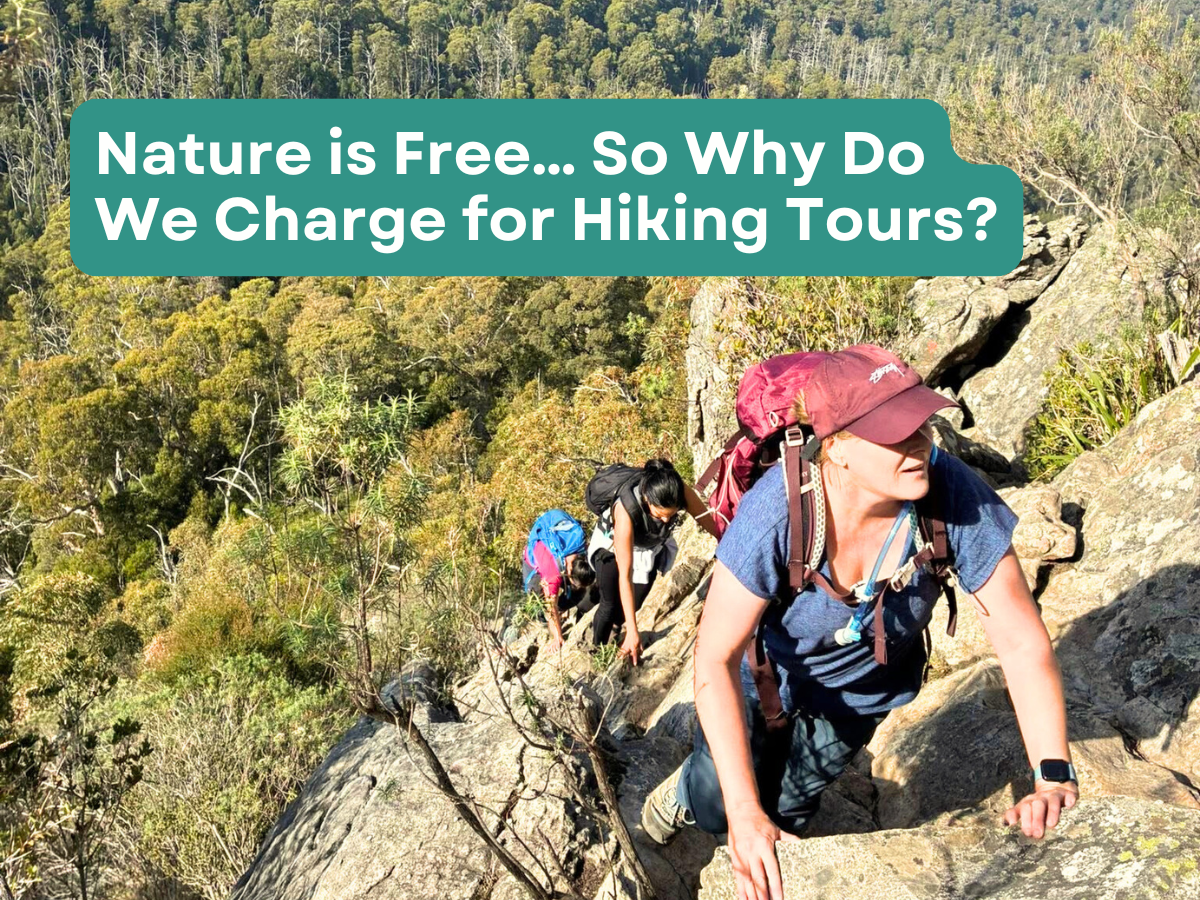 Nature is Free… So Why Do We Charge for Hiking Tours? 1 TakeShape Adventures - 33
