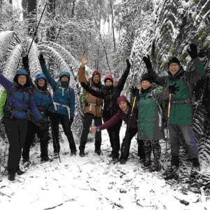 Tanglefoot Track