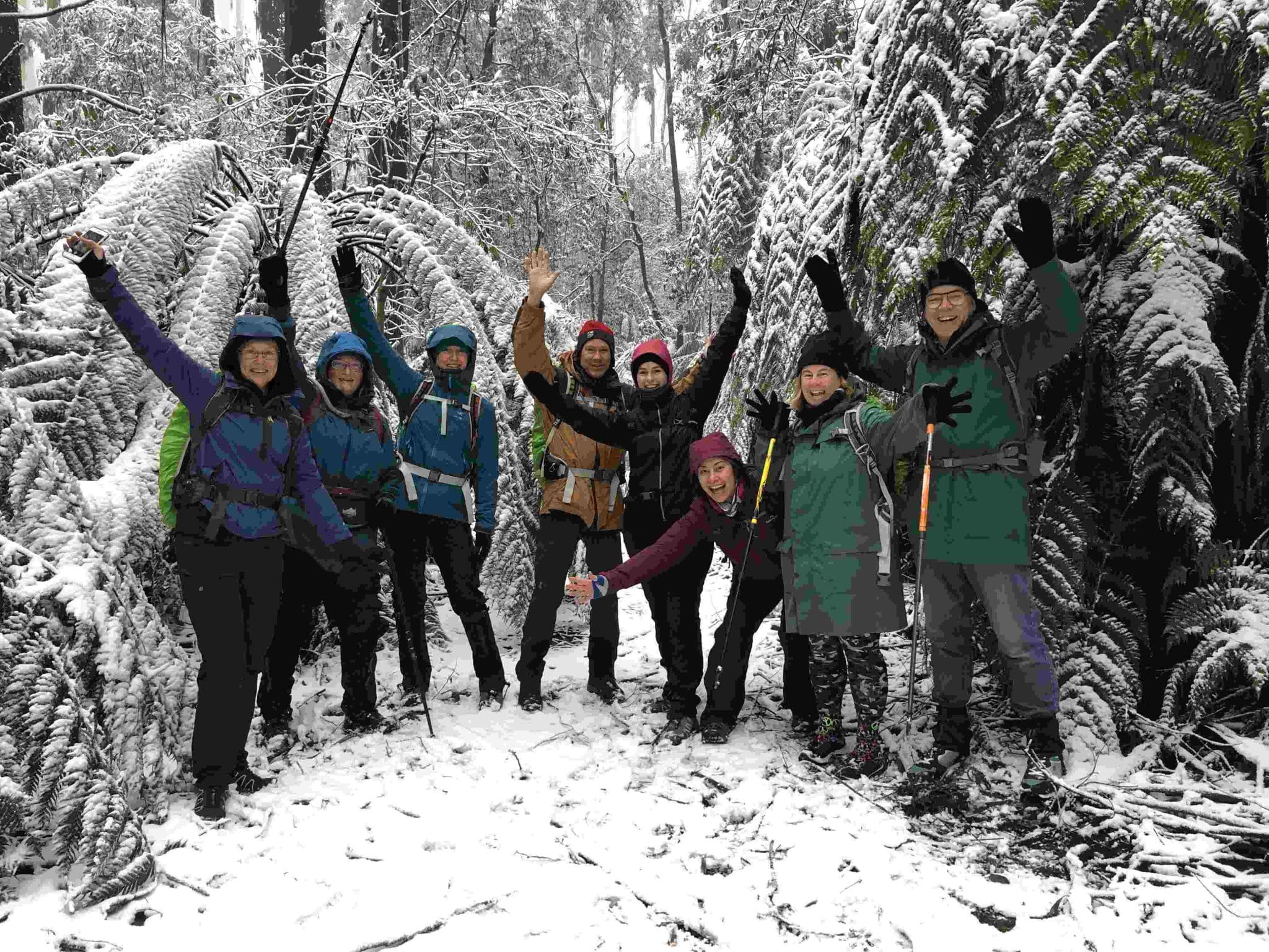 TakeShape Adventures - tanglefoot1