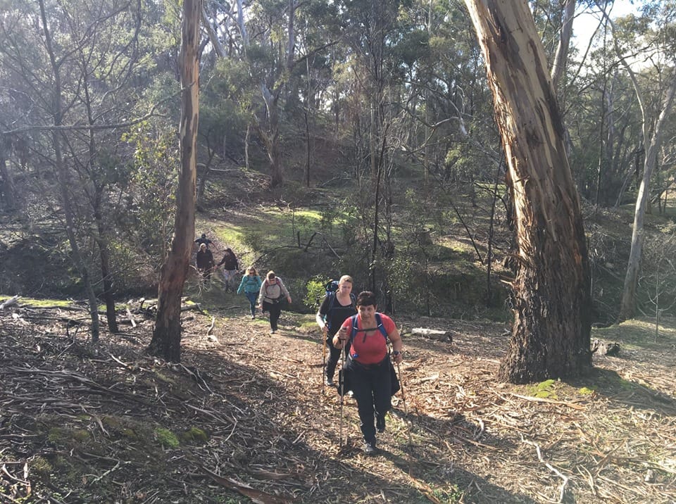 Packages and Gifts 3 64258585 2665466033467757 7342694952737964032 n