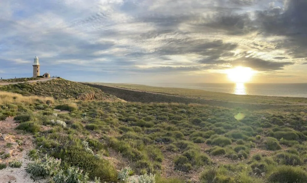 TakeShape Adventures - 64CA9123-C046-443D-81A8-080A89DC6885.jpg