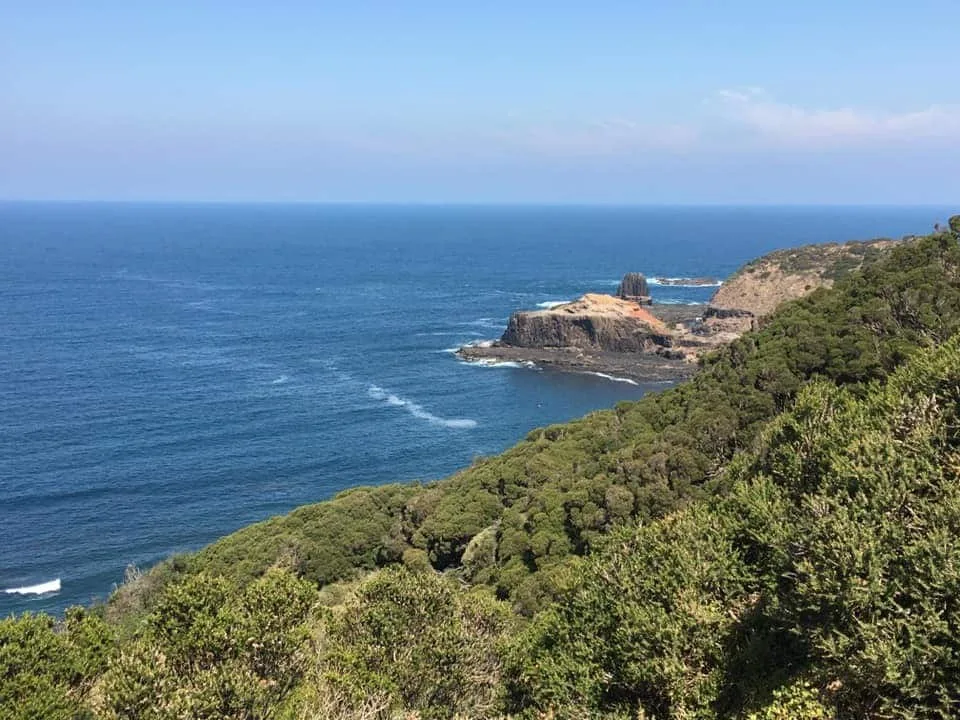 TakeShape Adventures - Bushrangers-Bay_DayHike_Trees1.jpg