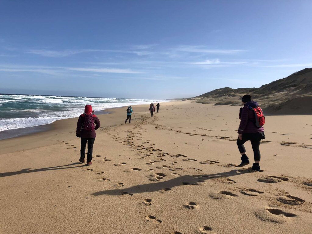 When the Going Gets Tough, the Tough Use These Tips 6 Bushrangers Bay DayHike Beach21