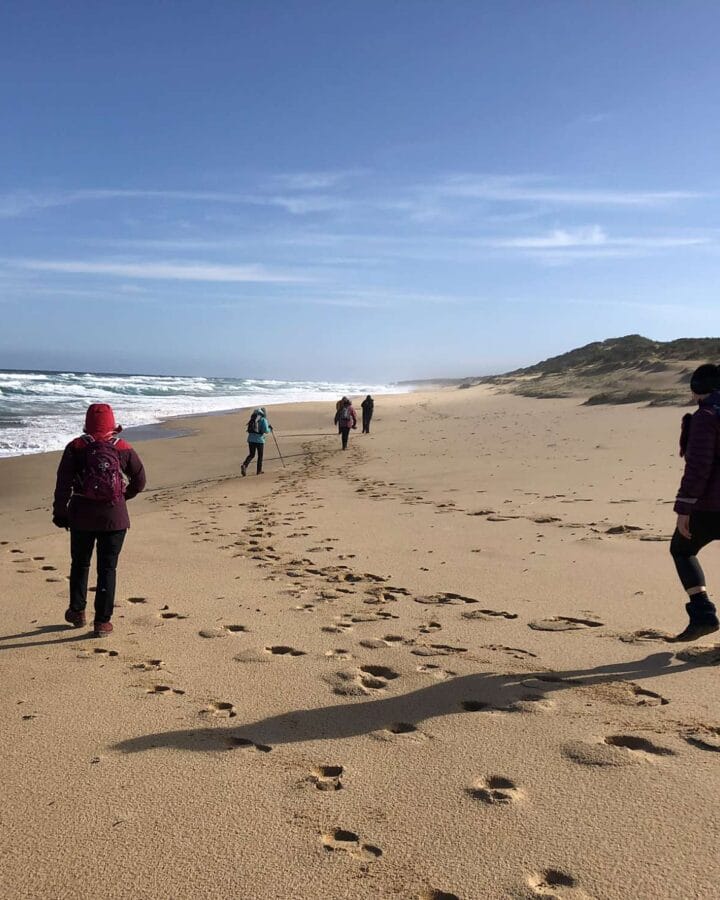 Corporate Wellbeing Walks 4 TakeShape Adventures - Bushrangers_Bay_DayHike_Beach21.jpg