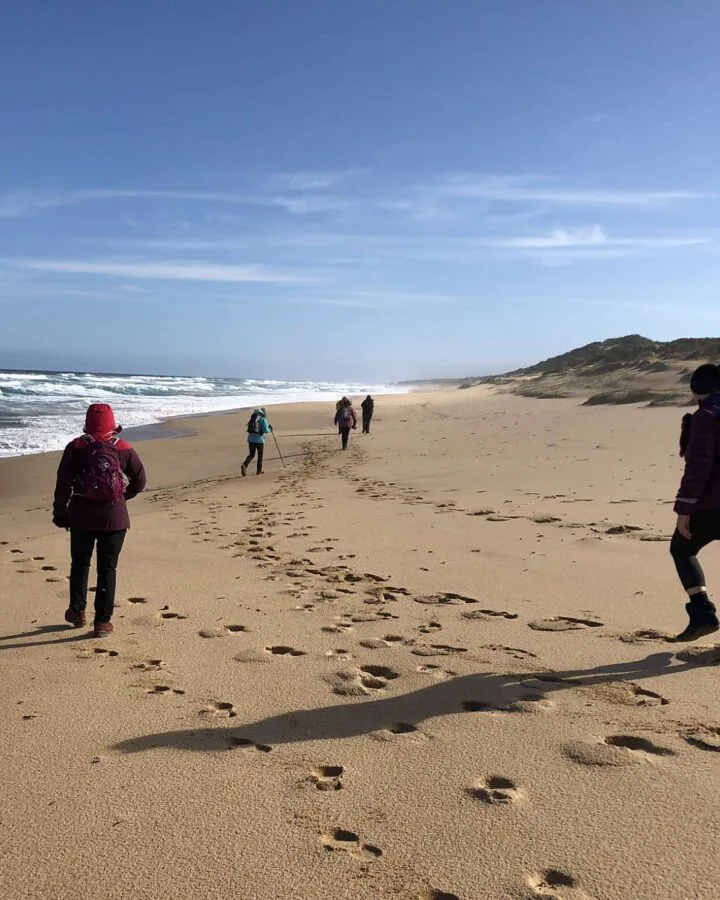 TakeShape Adventures - Bushrangers_Bay_DayHike_Beach21.jpg