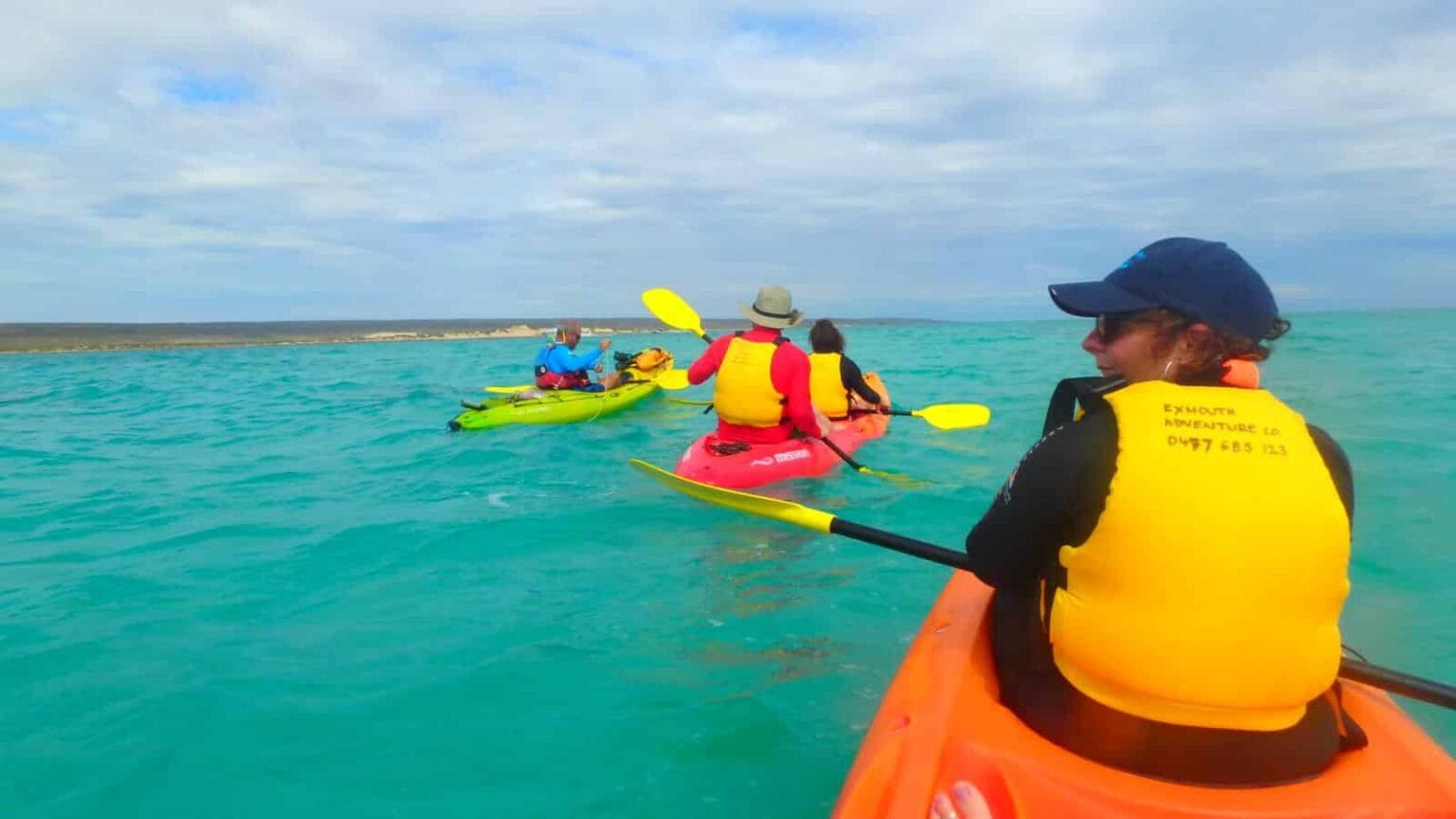 Ningaloo Reef & Cape to Cape
