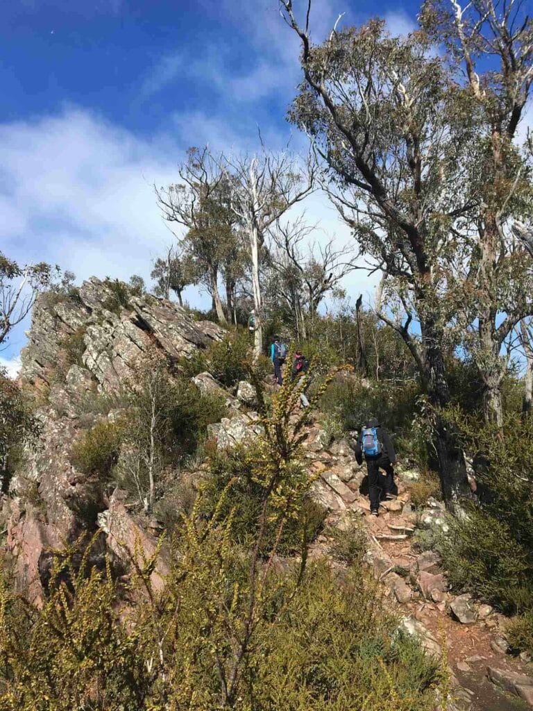 TakeShape Adventures - Cathedral-North_DayHike_Track1-e1616632023775.jpg