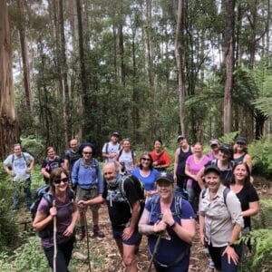 Silvan to Olinda Loop