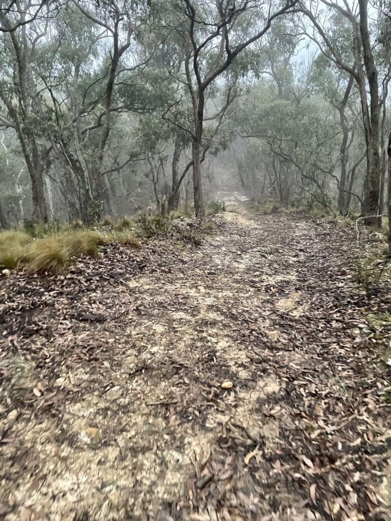 TakeShape Adventures - IMG_0337-scaled-e1653867873441.jpg