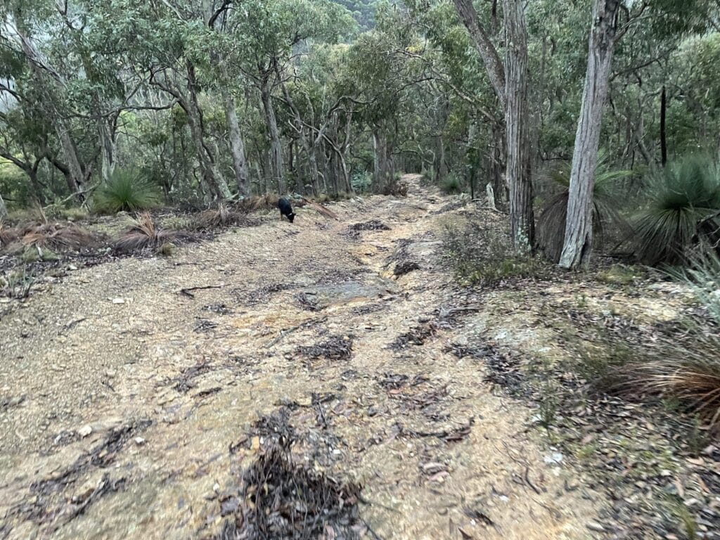 TakeShape Adventures - IMG_0339-scaled-1.jpg