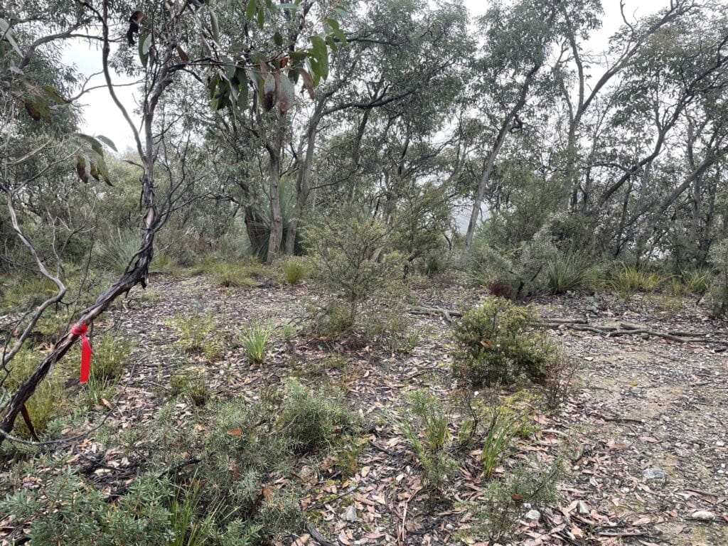 TakeShape Adventures - IMG_0348-scaled-1.jpg