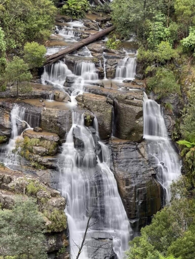 TakeShape Adventures - IMG_1521-scaled-1.jpg