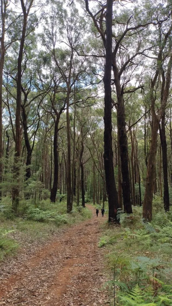 TakeShape Adventures - IMG_6213.jpg