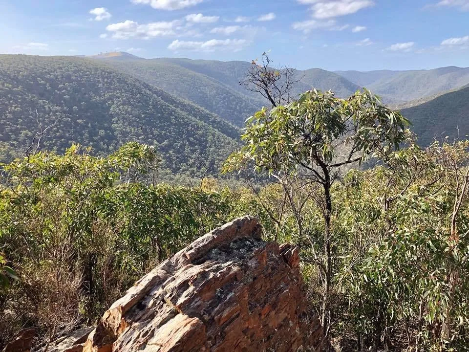 TakeShape Adventures - Lerderderg_DayHike_Forest1.jpg