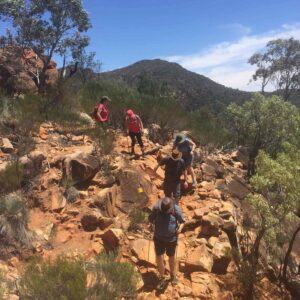 Flinders Ranges - May 15, 2026