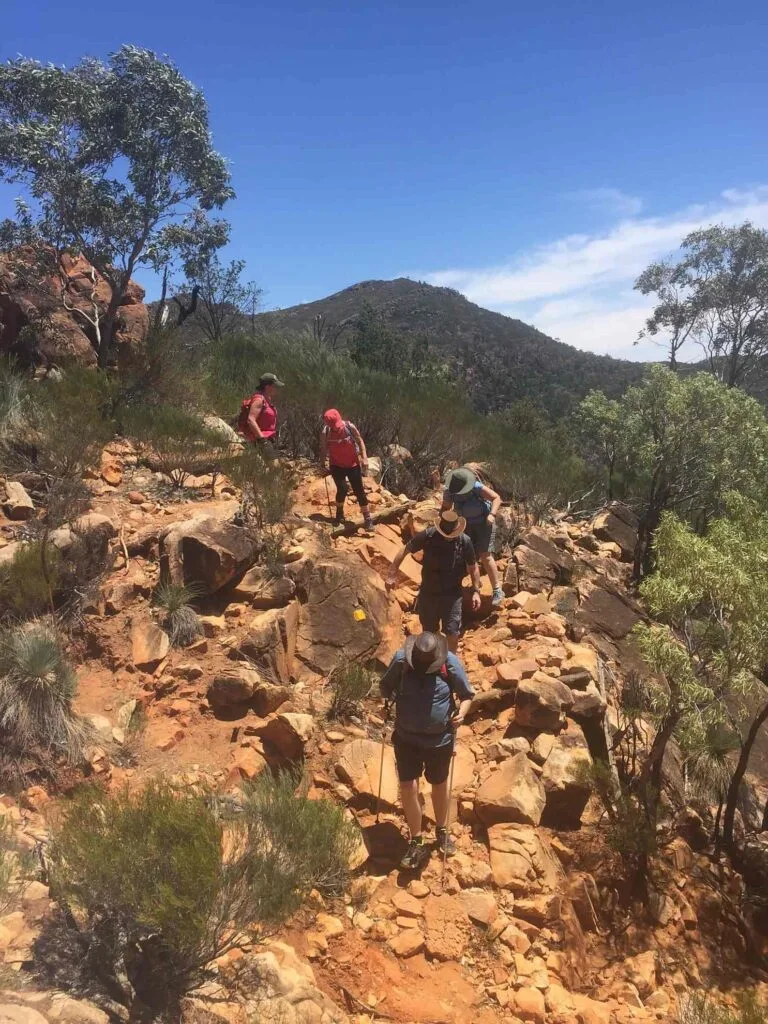 TakeShape Adventures - Micro-tours-_Flinders-Ranges_Scenery21-e1616633377296.jpg