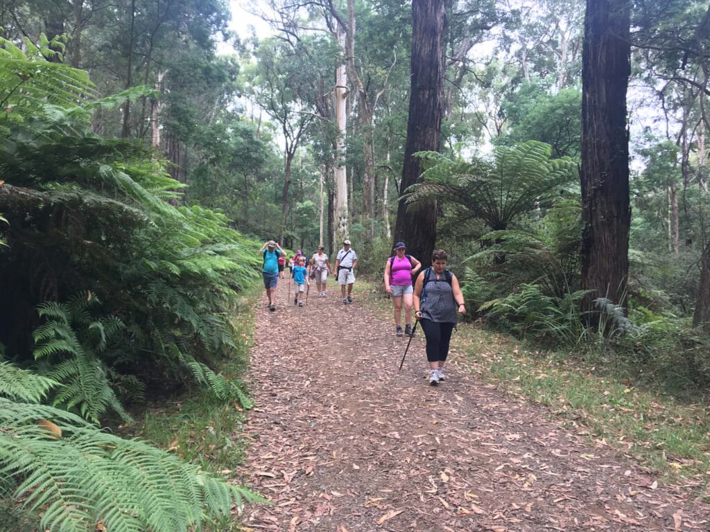 TakeShape Adventures - Mt-Evelyn_DayHike_Track1.jpg