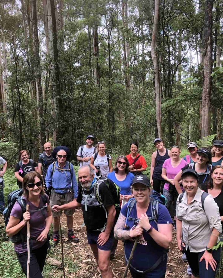 Corporate Wellbeing Walks 6 TakeShape Adventures - Olinda_DayHike_Group1.jpg