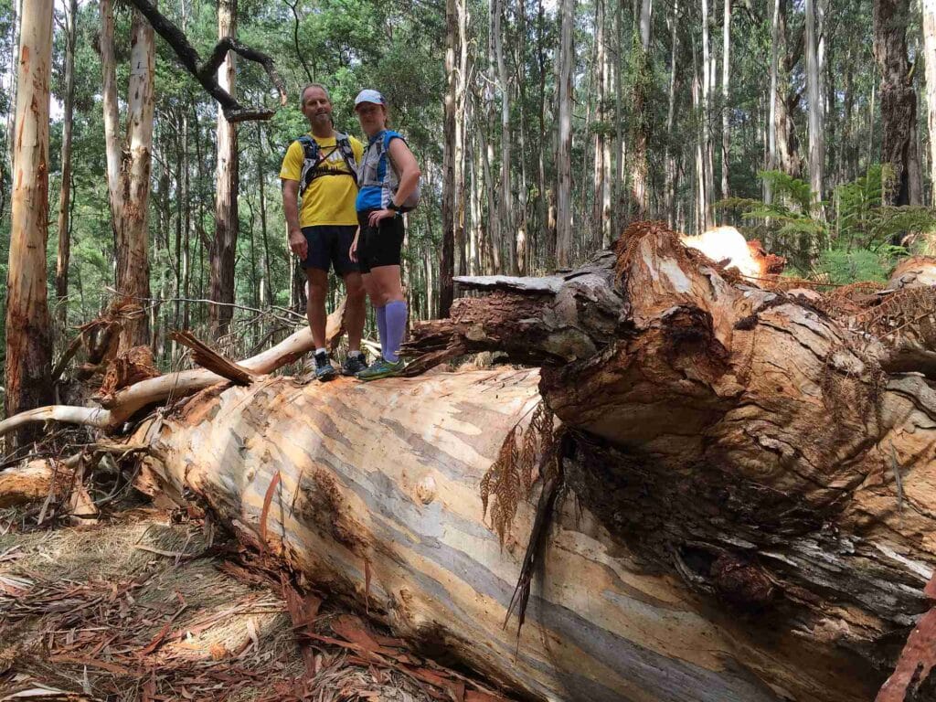 TakeShape Adventures - Olinda_DayHike_Tree.jpg