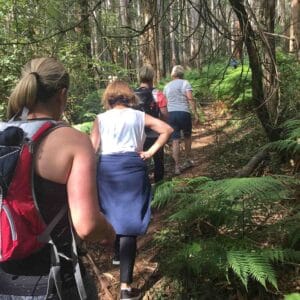 Olinda Arboretum - Short and social hike
