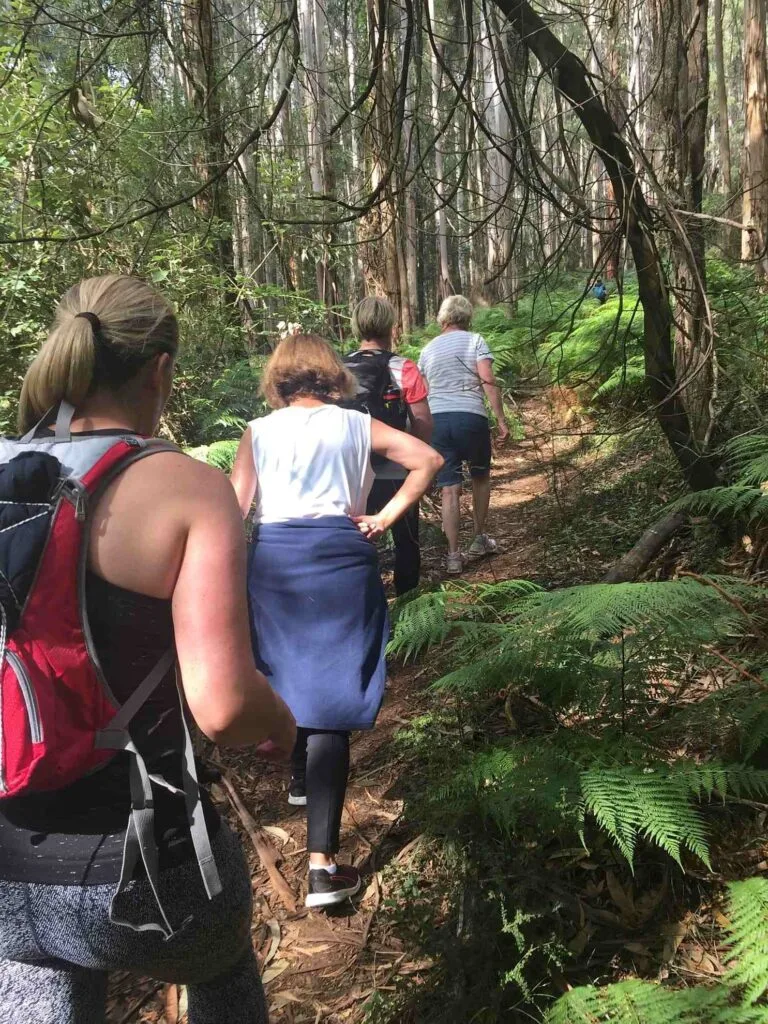 TakeShape Adventures - Olinda_DayHike_Walkers1-e1617406002115.jpg