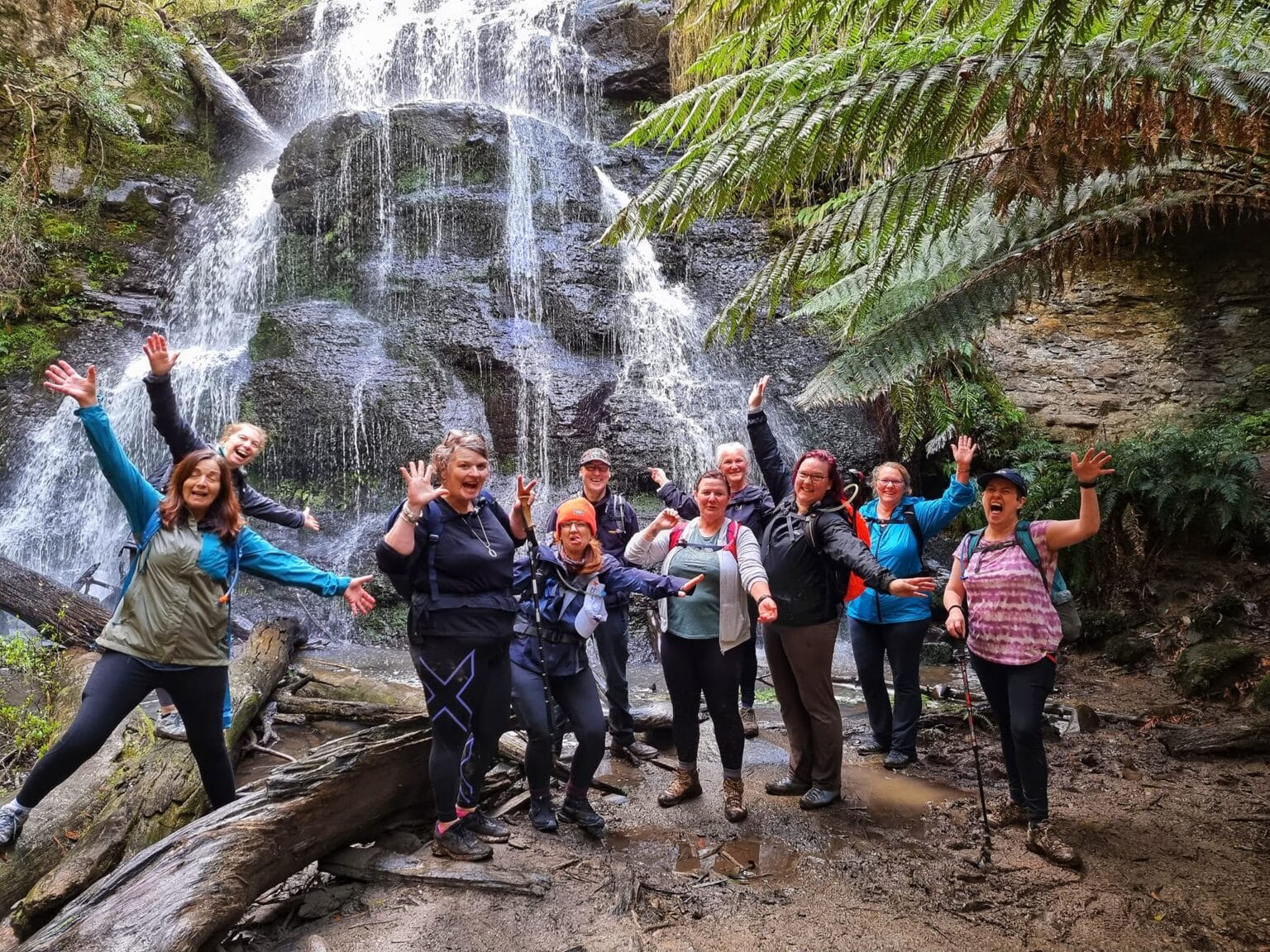 Otway Ferns & Falls